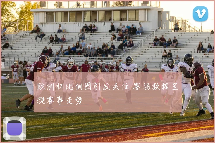 欧洲杯比例图引发关注 赛场数据呈现赛事走势