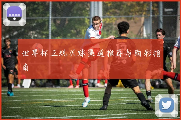 世界杯正规买球渠道推荐与购彩指南